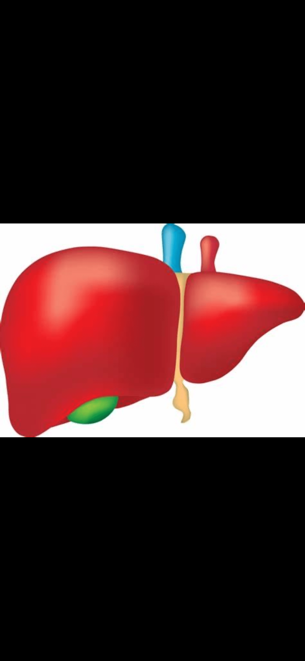 Billy’s Liver Journey – Part&nbsp;1