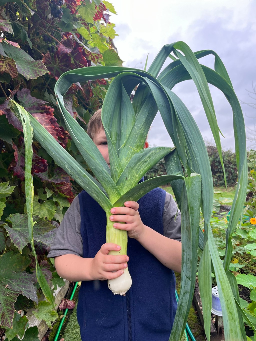 September 2024 in&nbsp;Pictures